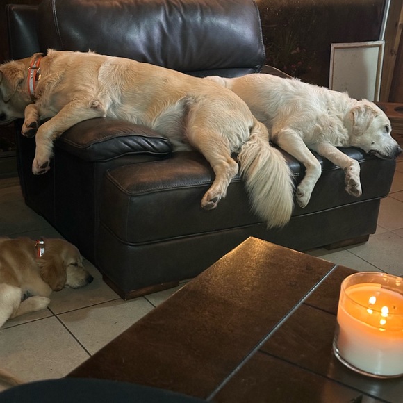 ‼️Same Day Shipper‼️ - Picture 7 of 7